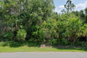  Photo 0