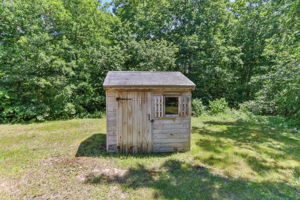  Photo 41