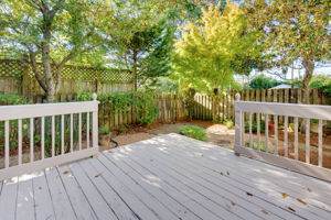  Photo 56