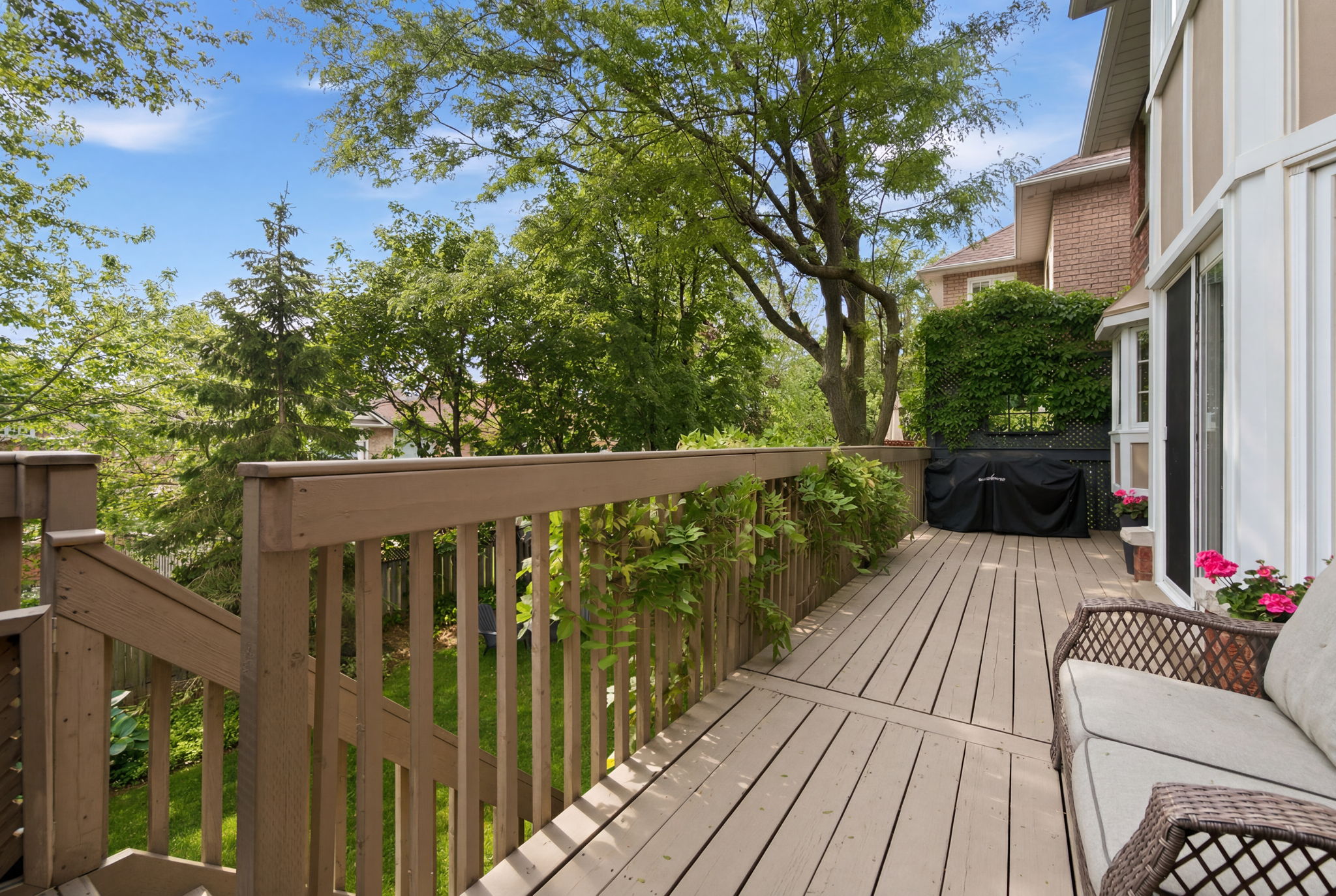  Photo 67