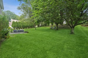 Lawn Area