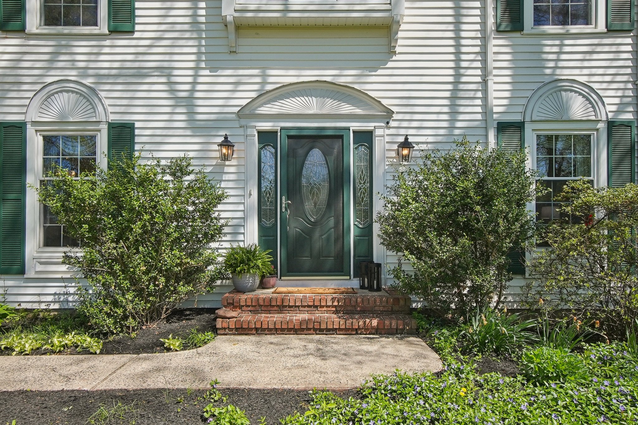 VMD009.jpg