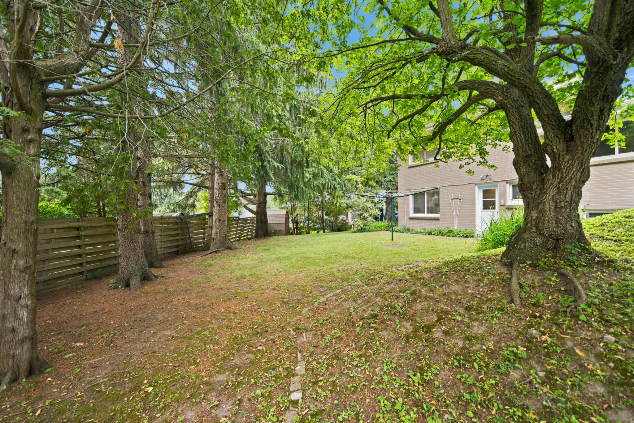  Photo 93