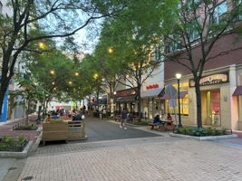 Local Shopping and Dining
