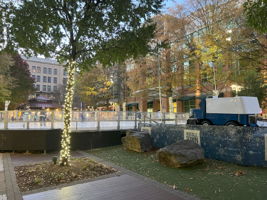 Holiday Ice Rink