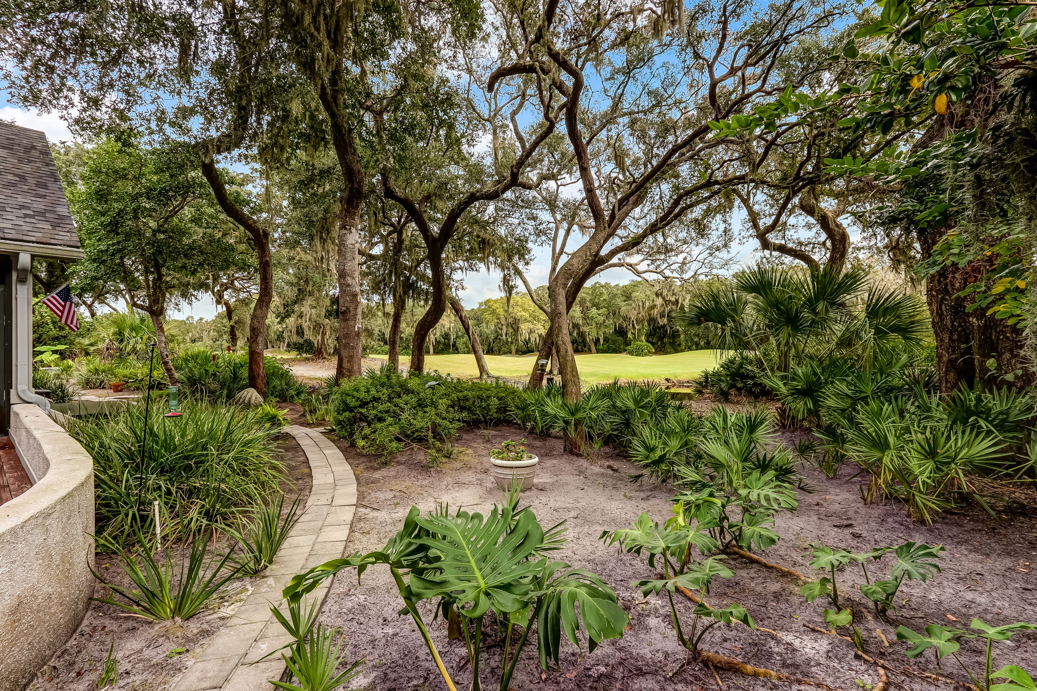 Back Yard