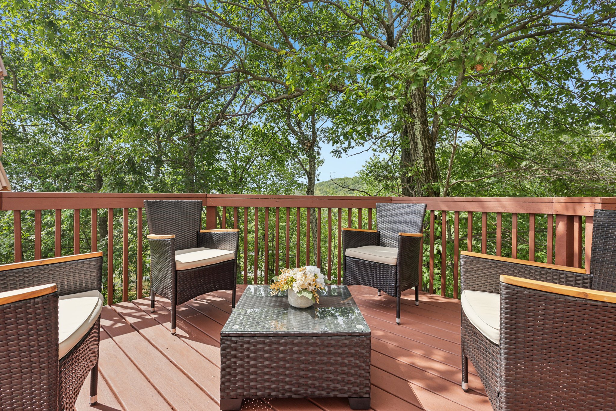 Point View-S3008-076.jpg