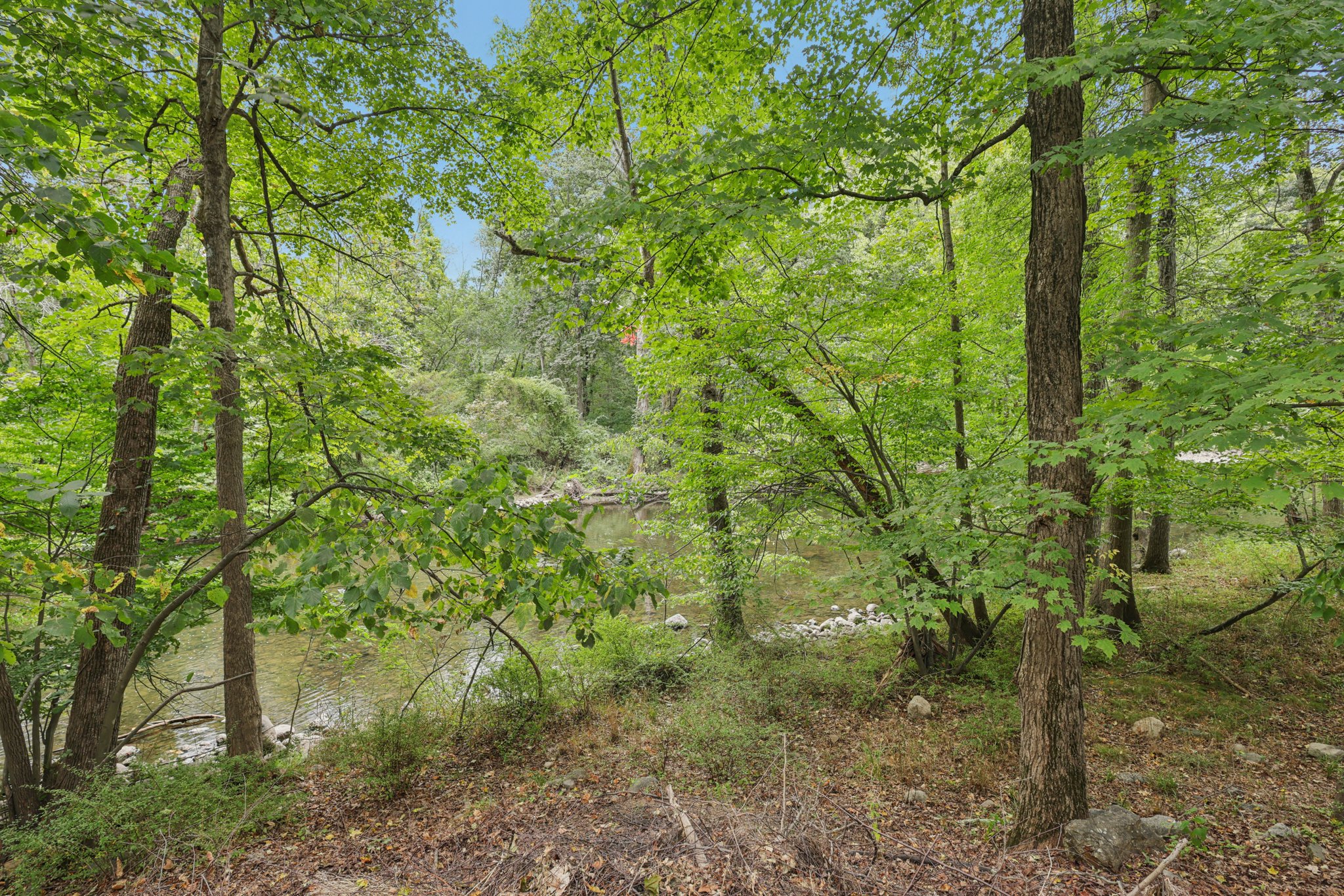 Point View-S3008-078.jpg