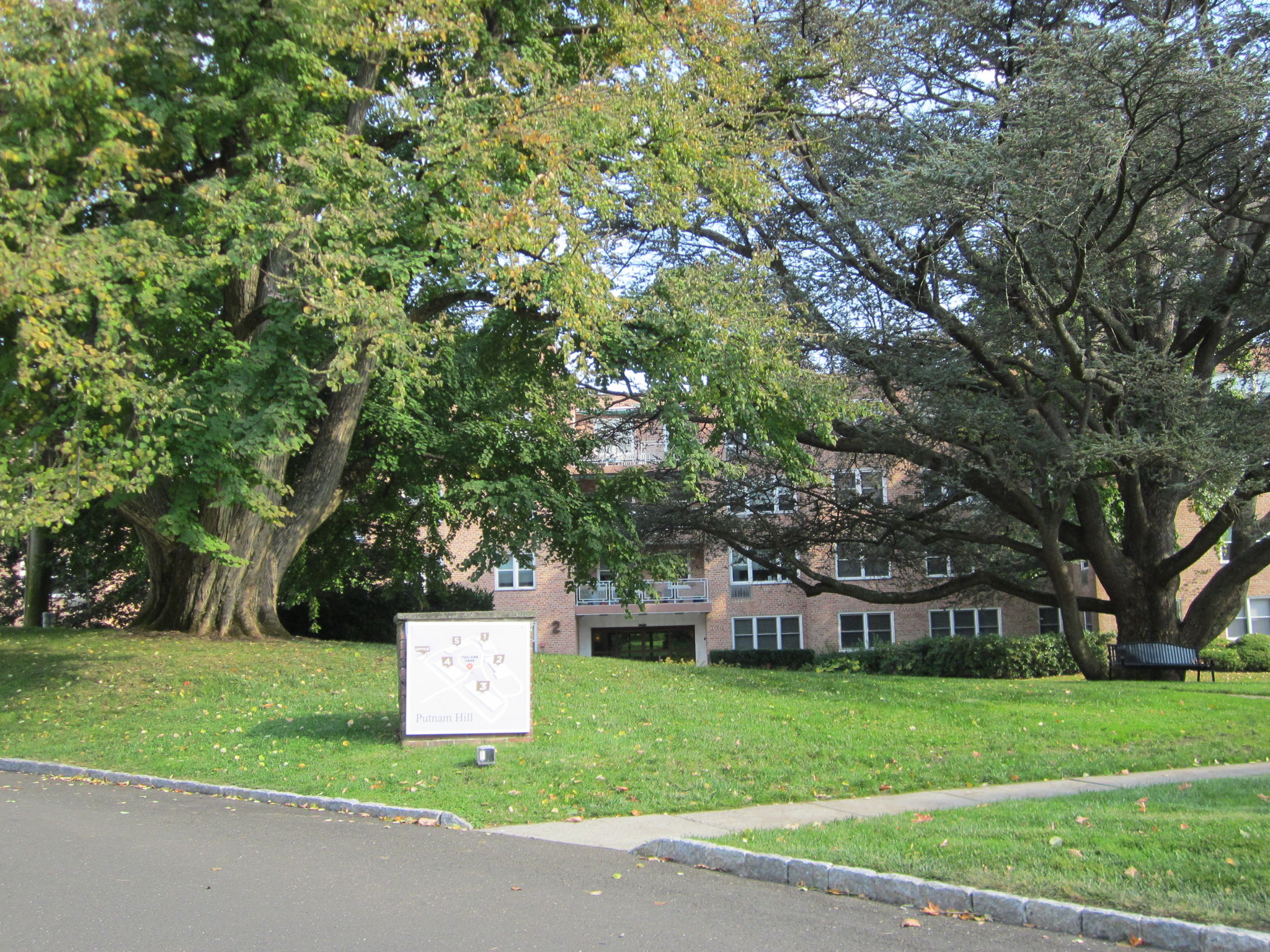 Putnam Hill grounds with majestic specimen trees