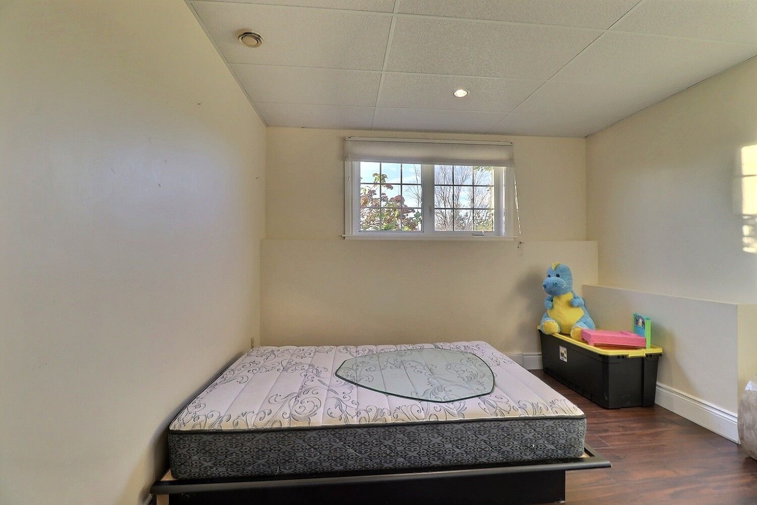  Photo 43