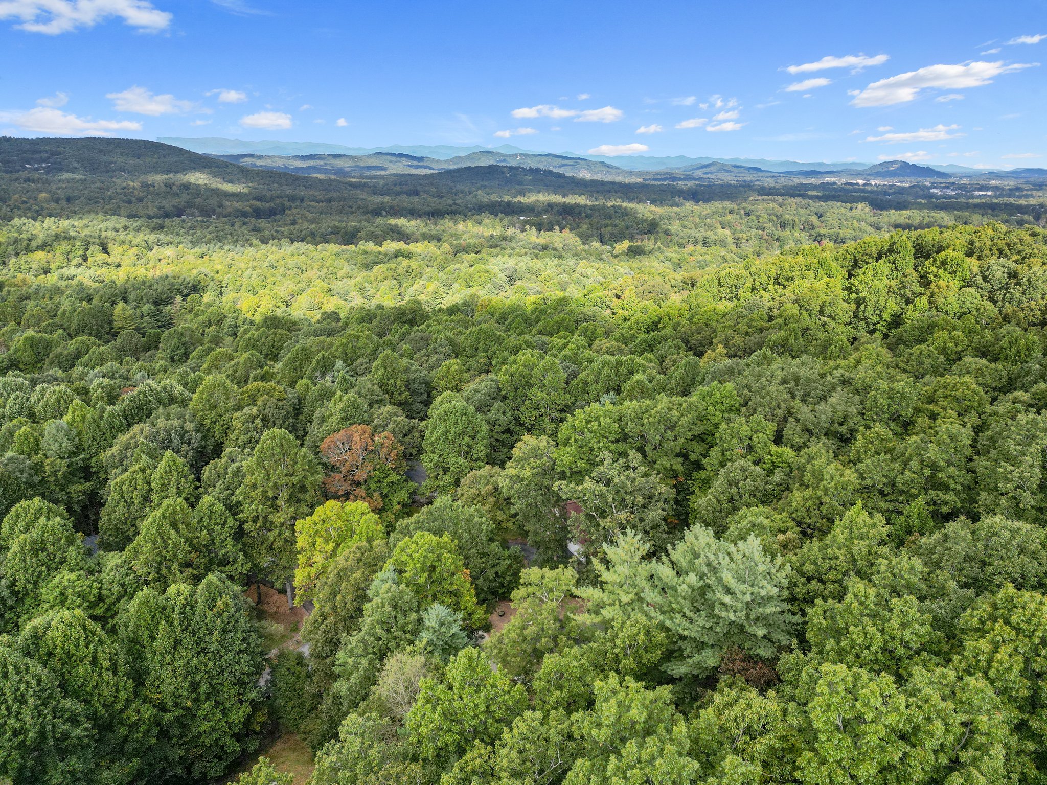 4 Spicewood Ct, Flat Rock, NC 28731, USA Photo 66