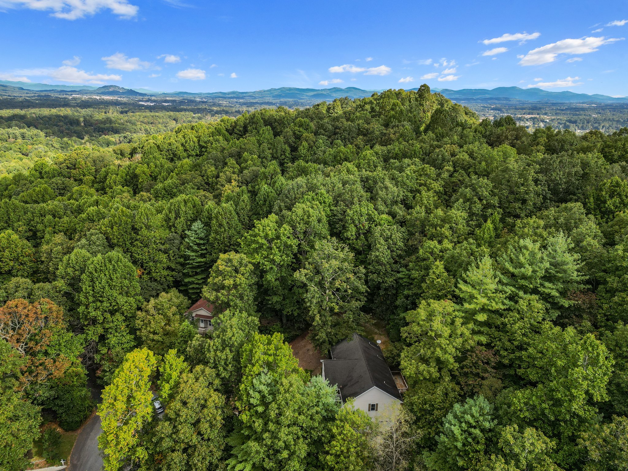 4 Spicewood Ct, Flat Rock, NC 28731, USA Photo 65