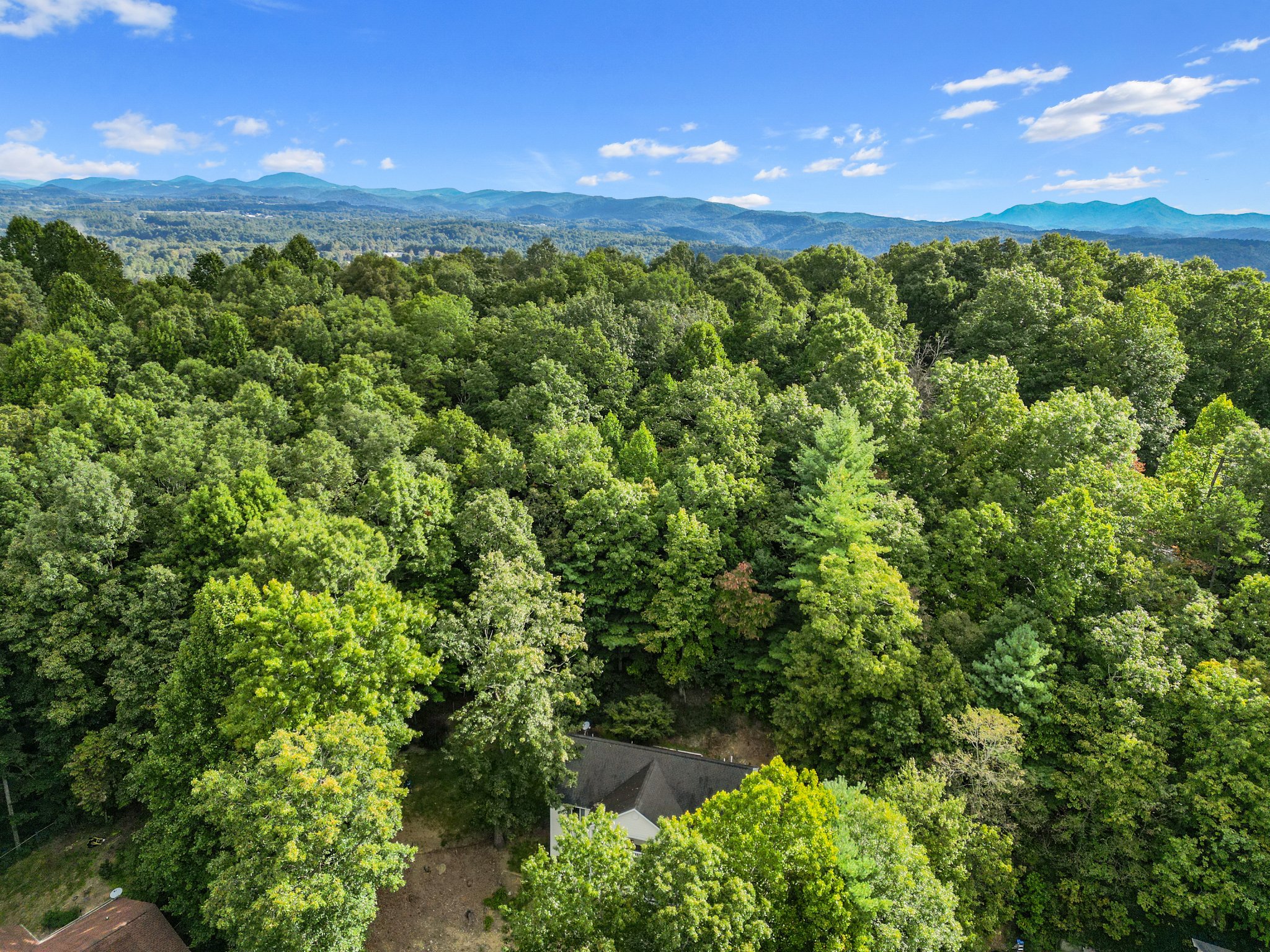 4 Spicewood Ct, Flat Rock, NC 28731, USA Photo 64