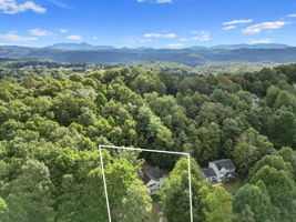 4 Spicewood Ct, Flat Rock, NC 28731, USA Photo 60