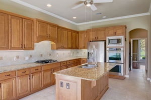 Yellow Tail Cove-028