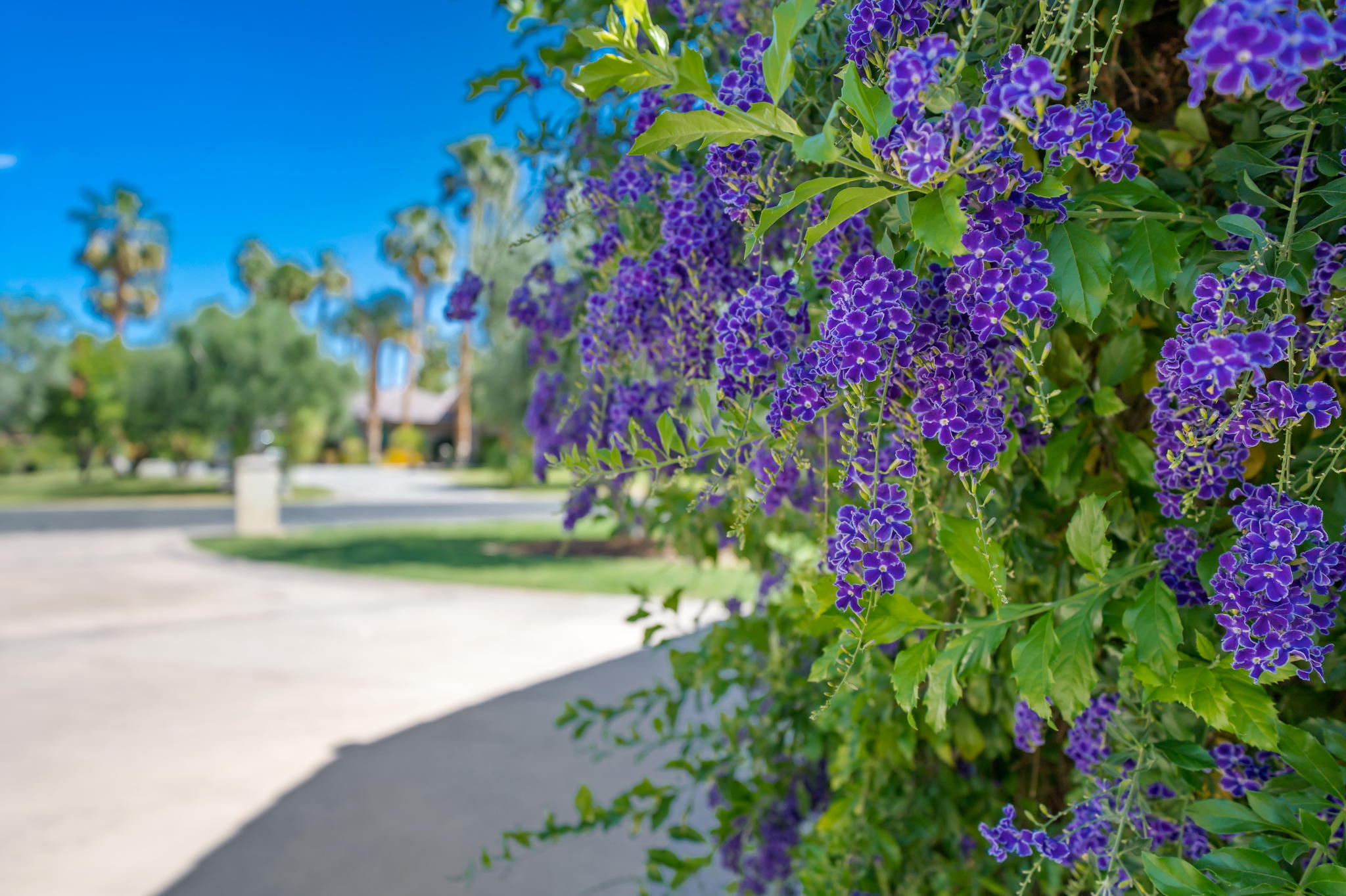 40 Clancy Ln S, Rancho Mirage, CA 92270, USA Photo 49