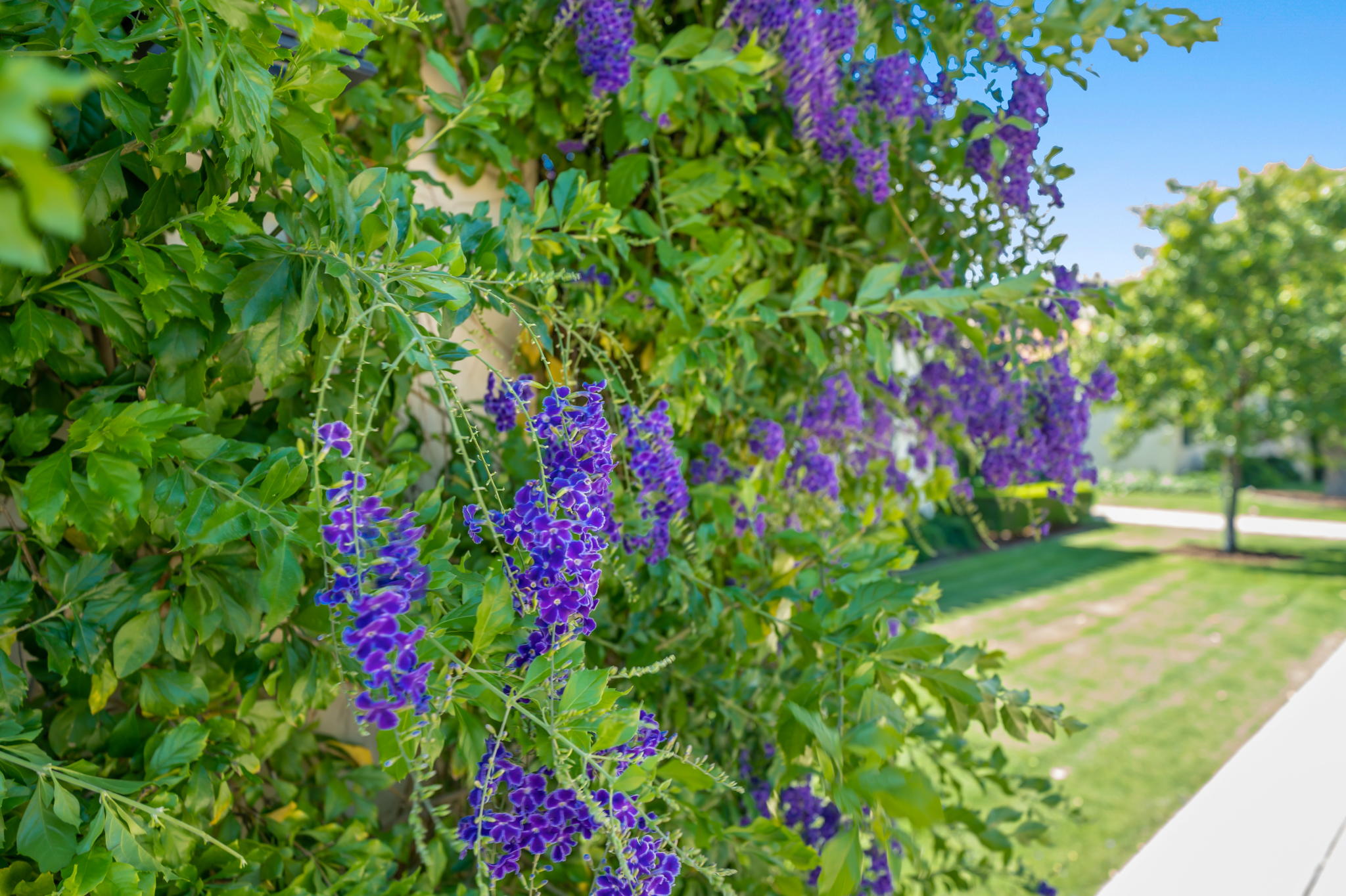 40 Clancy Ln S, Rancho Mirage, CA 92270, USA Photo 50