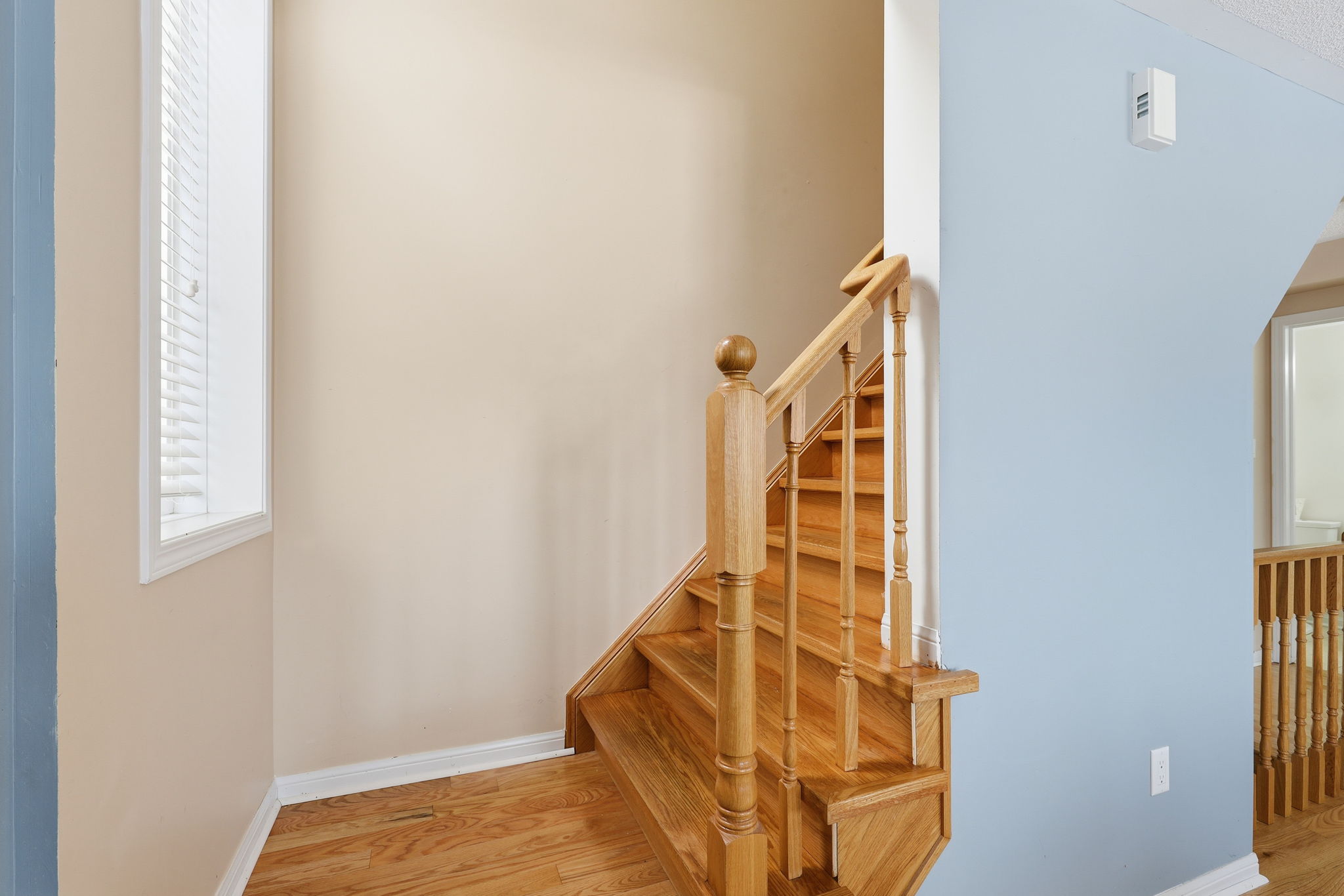 Newmarket property showcase — delivered property photograph 16