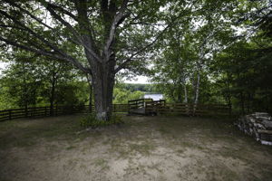  Photo 35