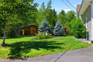  Photo 39