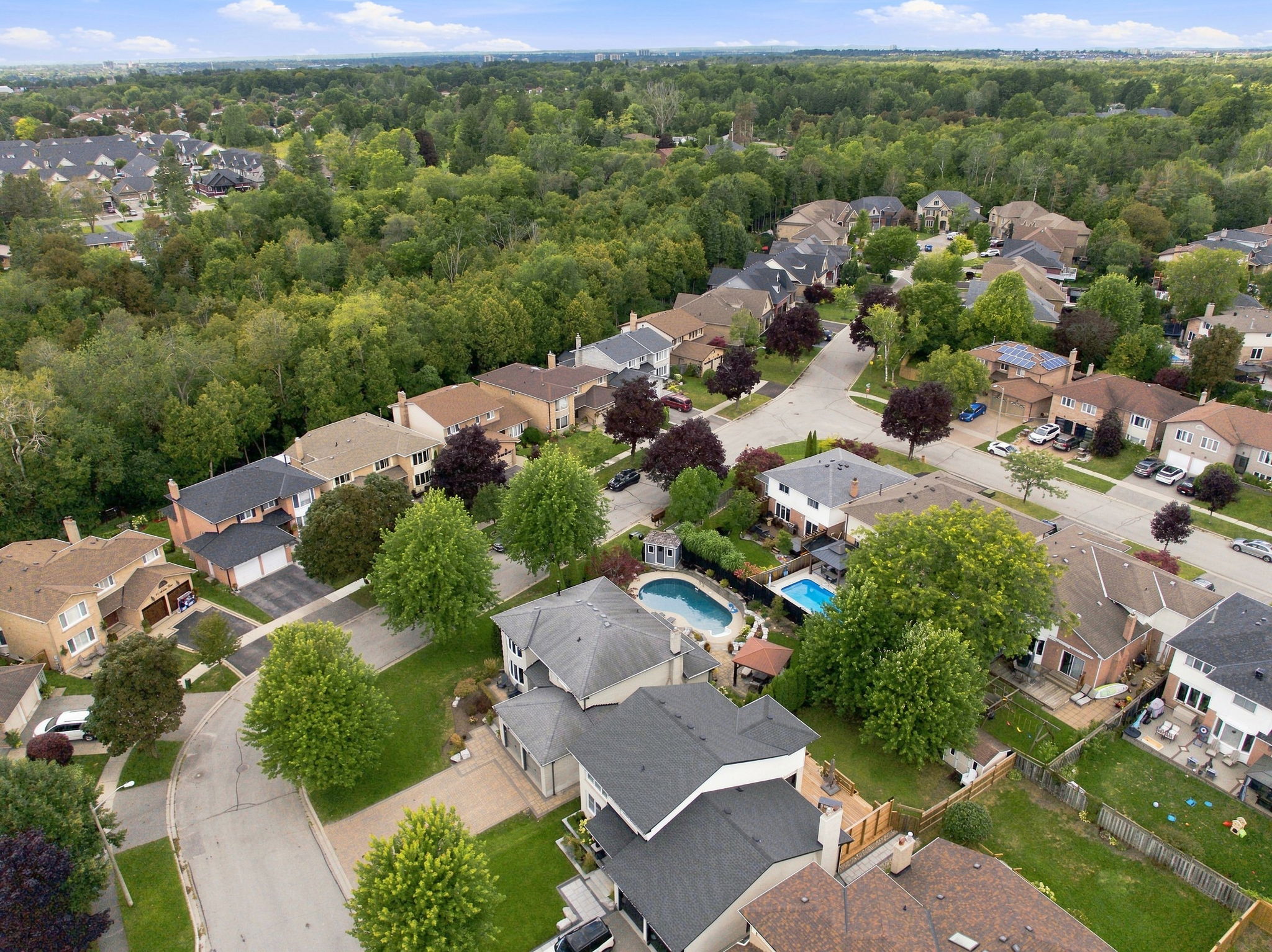  Photo 95
