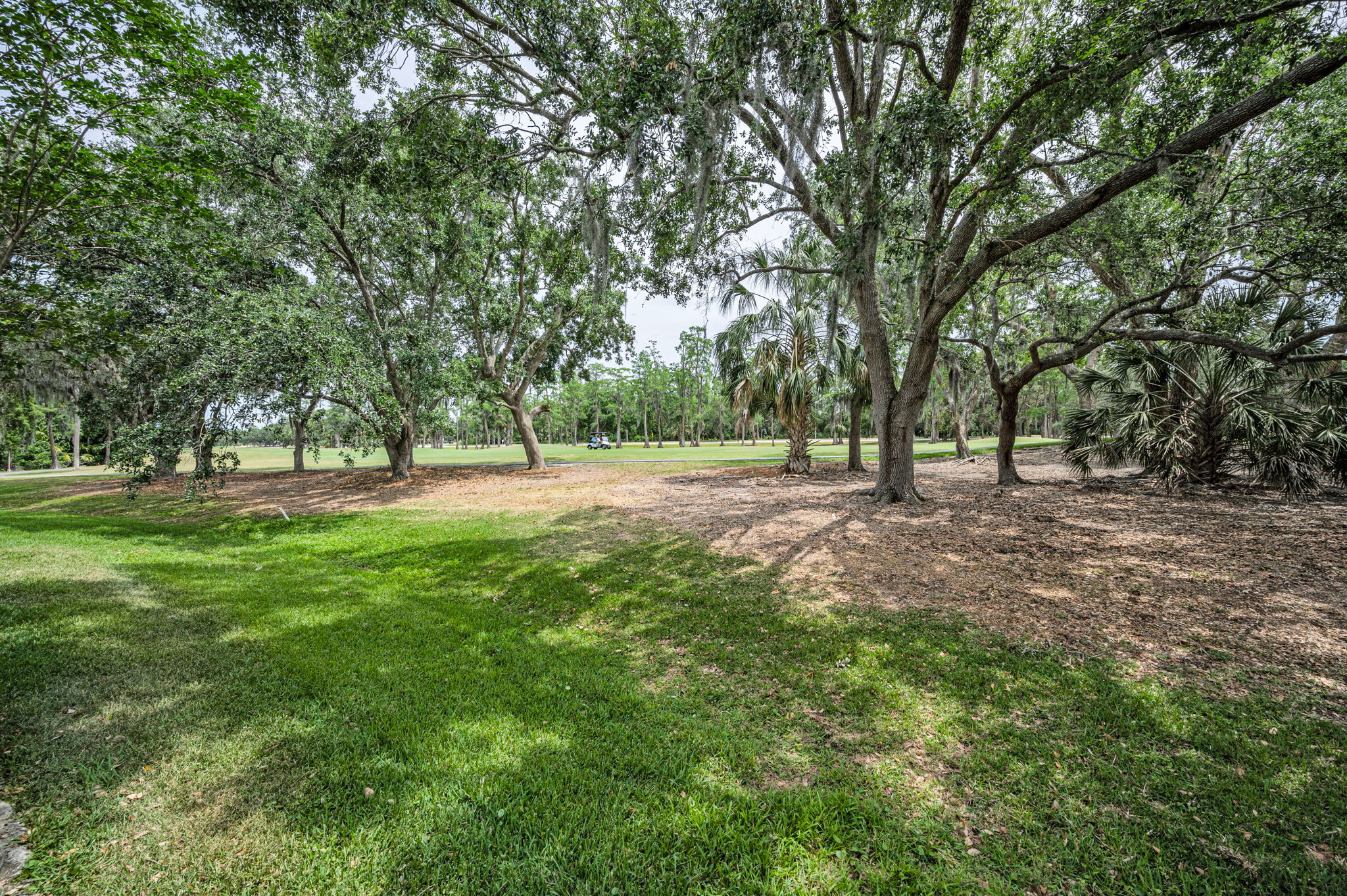 Backyard4