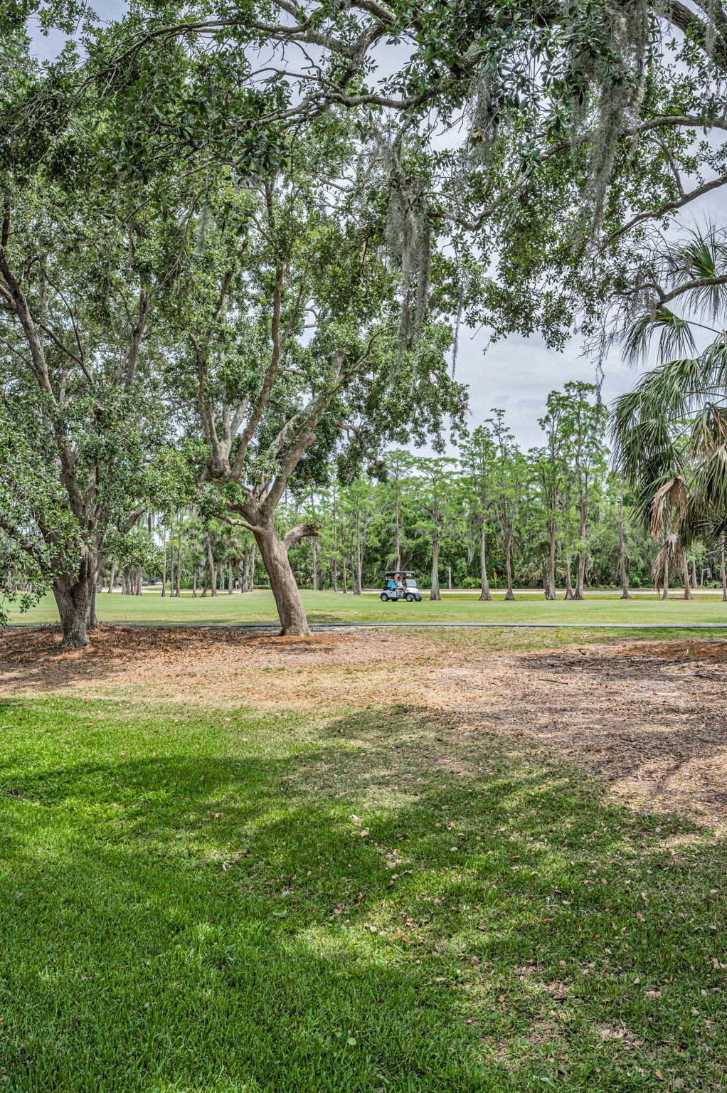 Backyard5