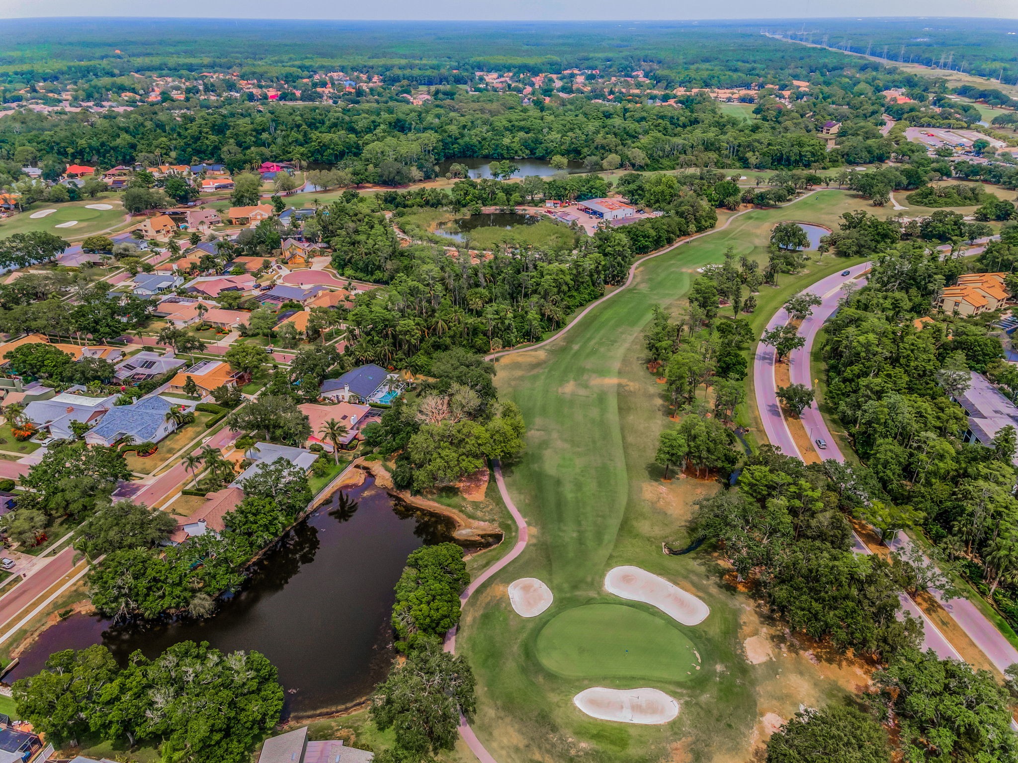 Aerial (6)