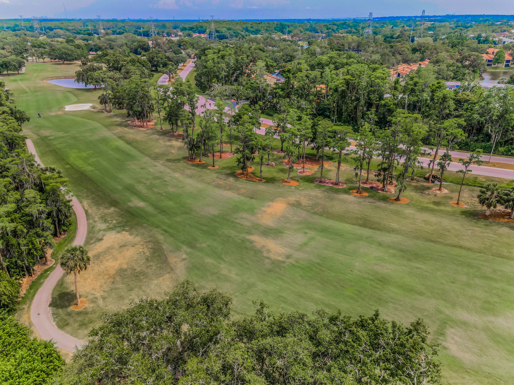 Aerial (9)