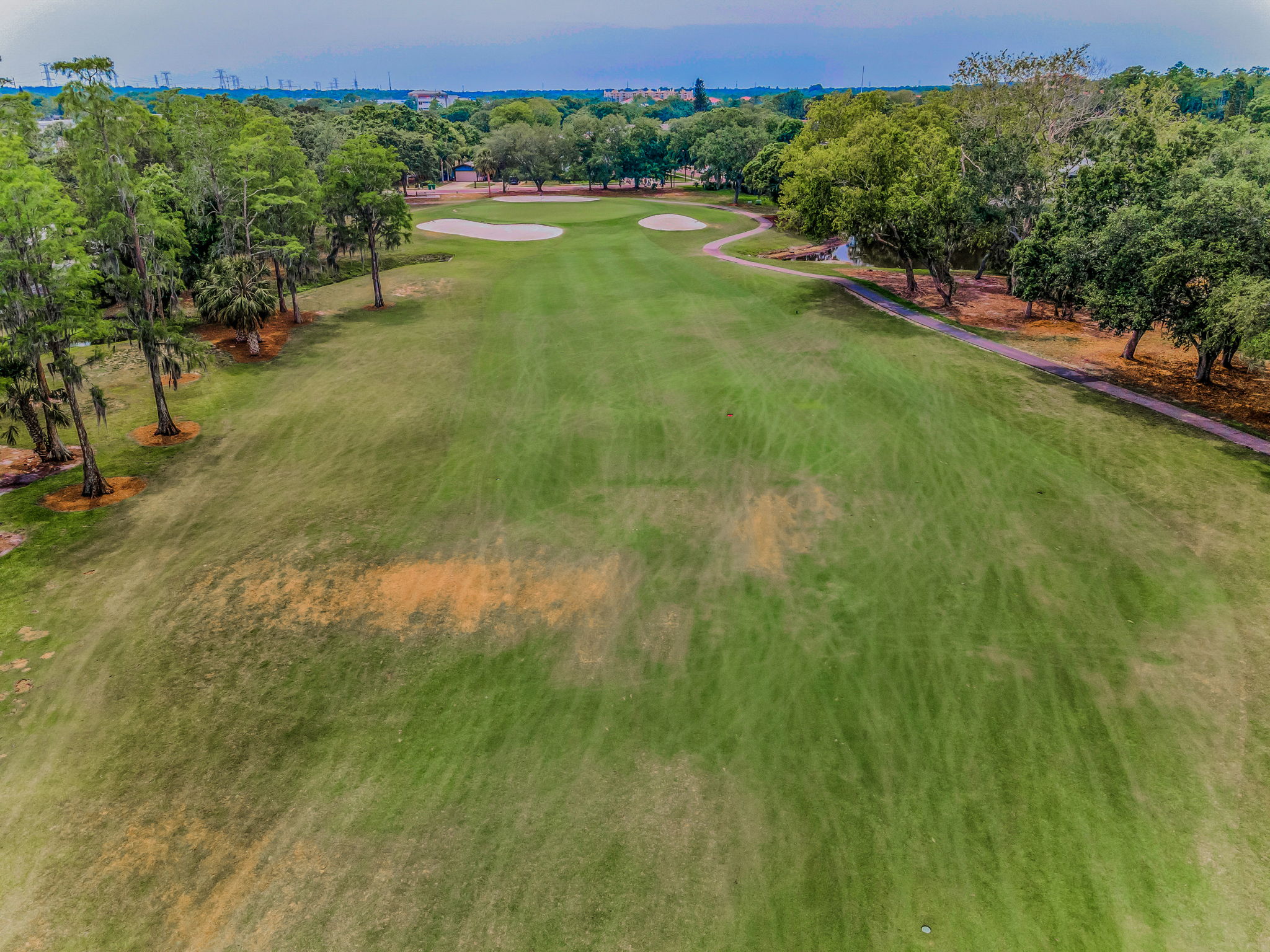 Aerial (18)