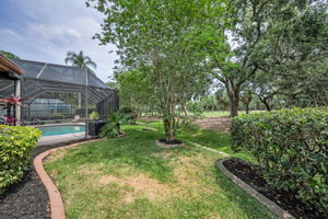 Backyard2