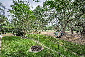 Backyard3
