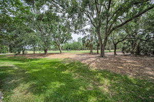 Backyard4