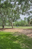 Backyard5