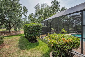 Backyard9