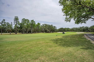 Golf Course1