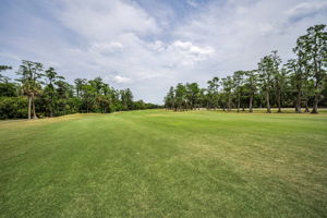Golf Course2