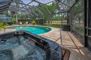 Hot Tub and Pool