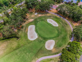 Aerial (5)