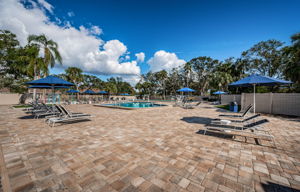 Pool1