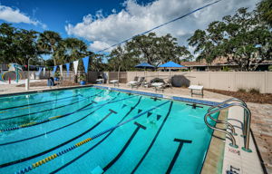 Pool10