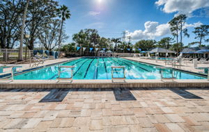 Pool11