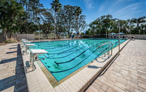Pool12