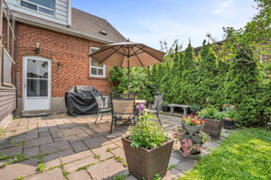 41-backyard1