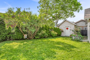 44-backyard4