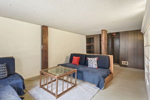 Lower Level - Main Living Area