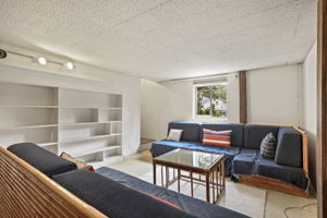 Lower Level - Main Living Area