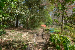 Garden/Vegetable Garden