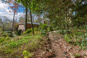 Back Yard/Back View