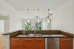 4th Ave S unit 309-S1107-020.jpg